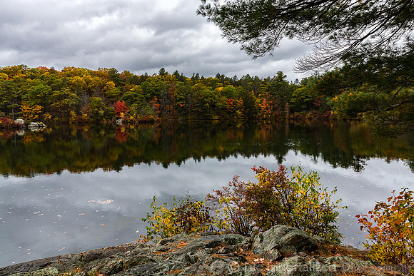 Breakheart Reservation