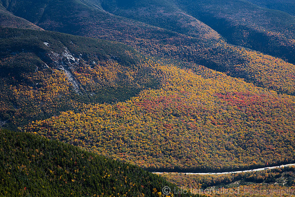 Cannon Mountain Foliage