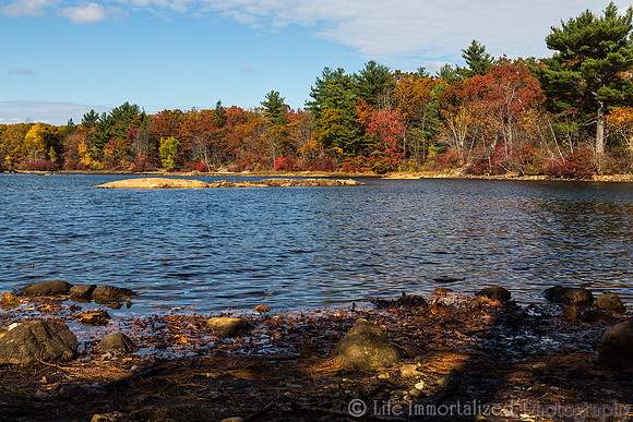 Fall Foliage at Breakheart Reservation