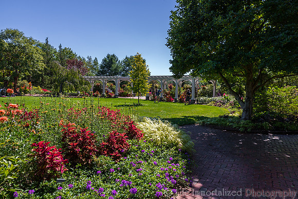 Secret Garden