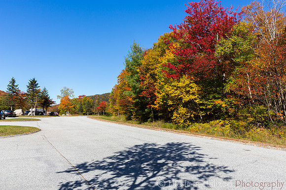 Cannon Mountain Foliage