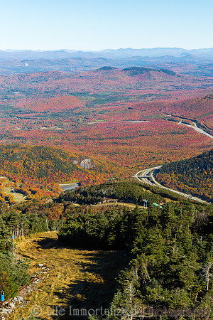 Cannon Mountain Foliage