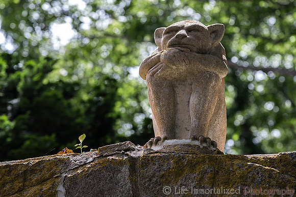 Gargoyle