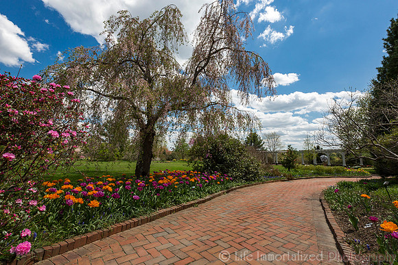 Tower Hill Botanic Garden
