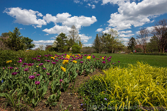 Tower Hill Botanic Garden