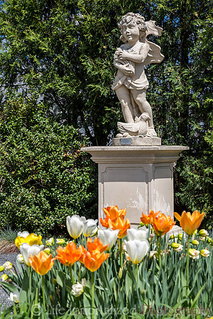 Tower Hill Botanic Garden