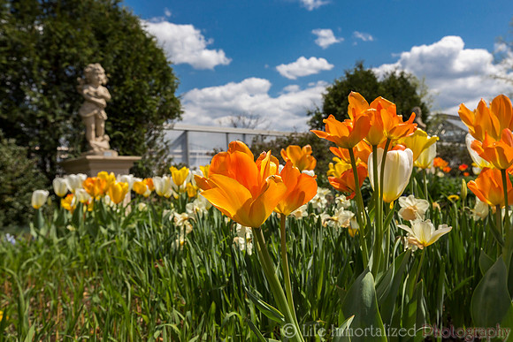 Tower Hill Botanic Garden
