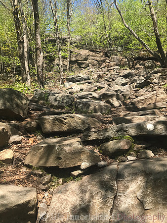Mt. Monadnock