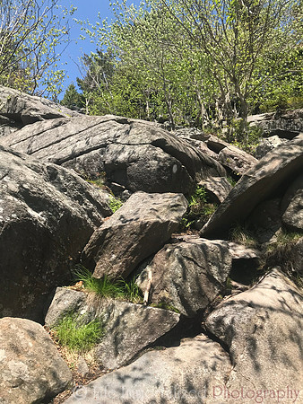 Mt. Monadnock