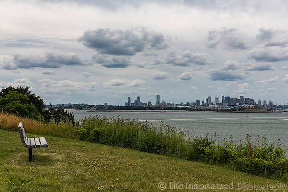 Spectacle Island