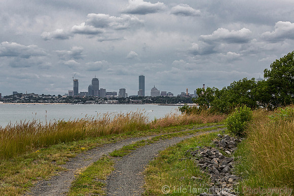 Spectacle Island