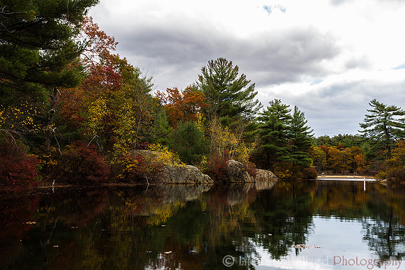 Fall foliage at Breakheart Reservation