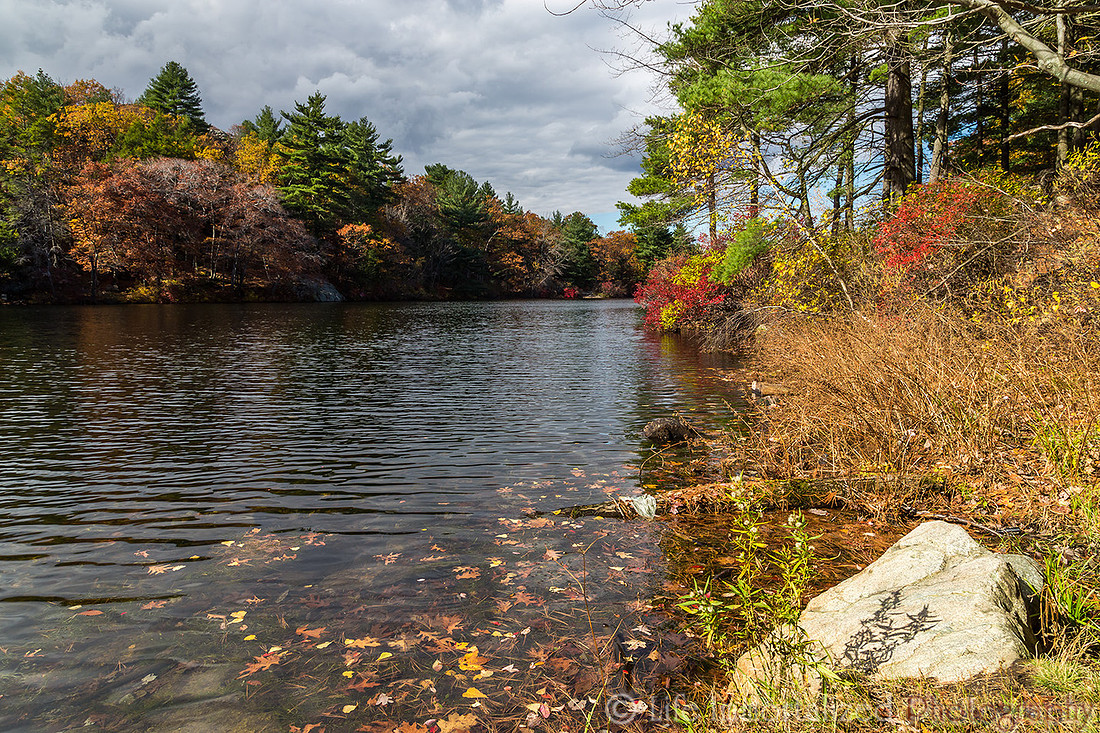 Fall Foliage at Breakheart Reservation
