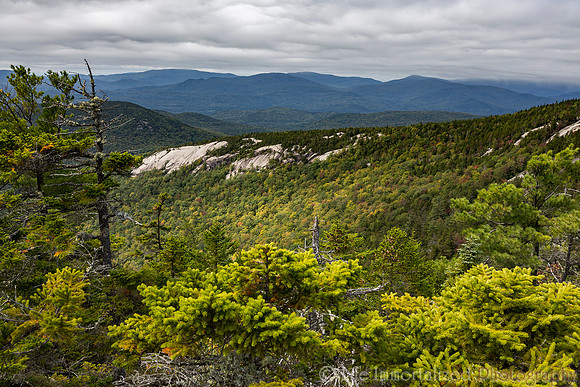 Welch Dickey Loop Trail