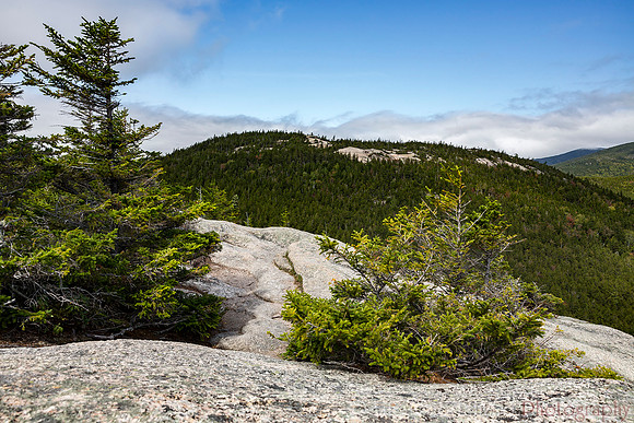 Welch DIckey Loop Trail