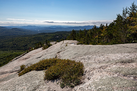 Welch Dickey Loop Trail