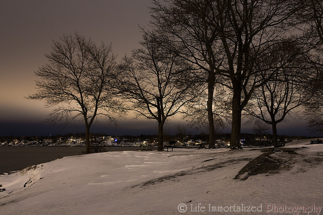 Snowy Night