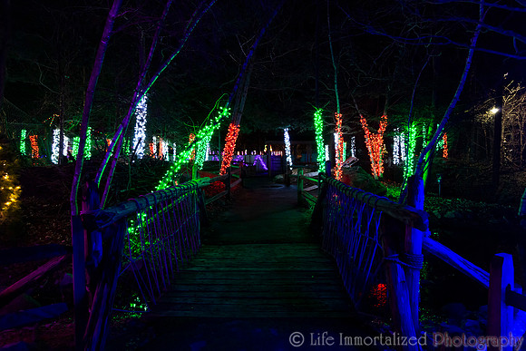 Zoolights at Stone Zoo