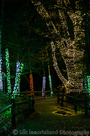 Zoolights at Stone Zoo