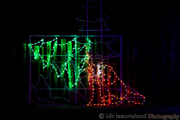 Zoolights at Stone Zoo