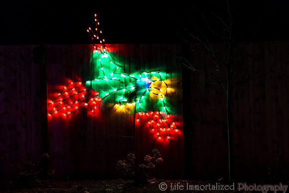 Zoolights at Stone Zoo
