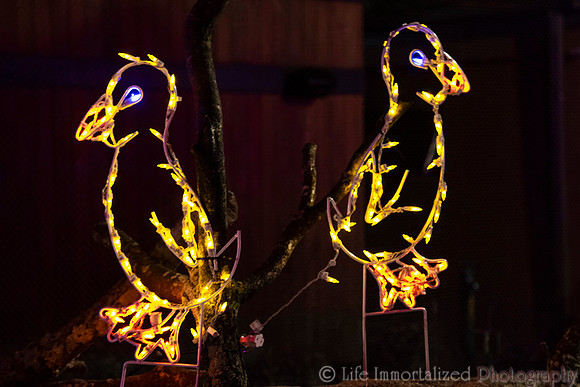 Zoolights at Stone Zoo