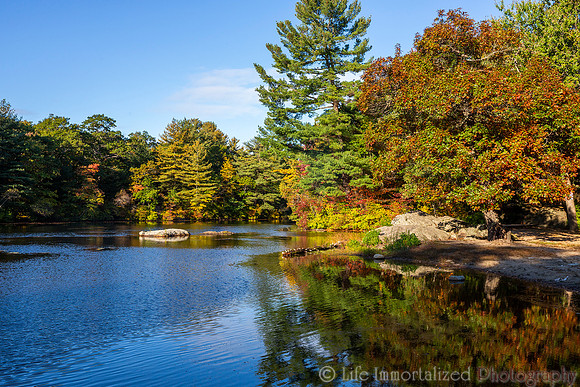 Breakheart Reservation