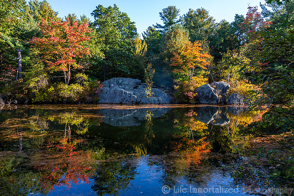 Breakheart Reservation