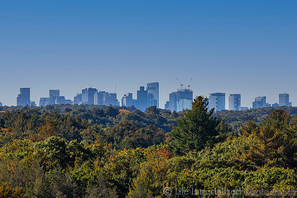Boston Skyline