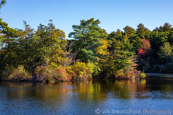 Breakheart Reservation