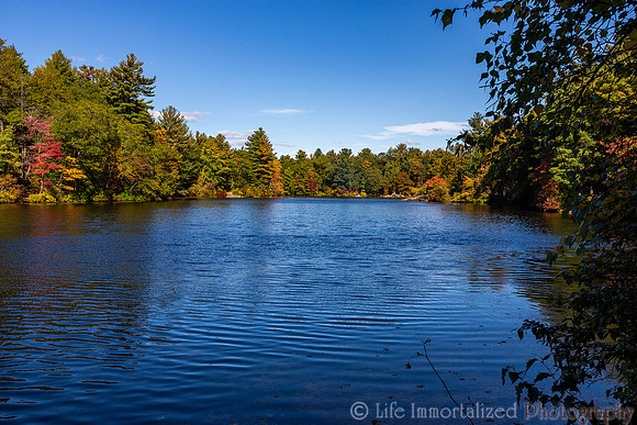 Breakheart Reservation