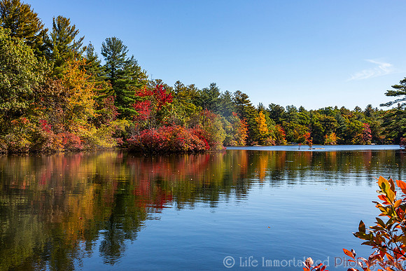 Breakheart Reservation