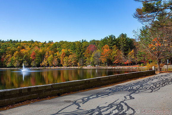 Coggshall Park