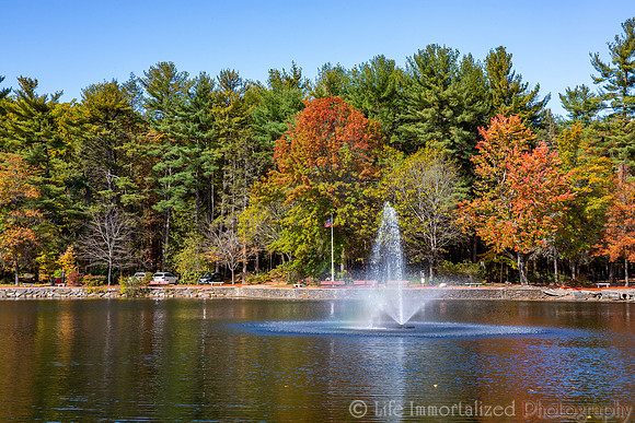 Coggshall Park