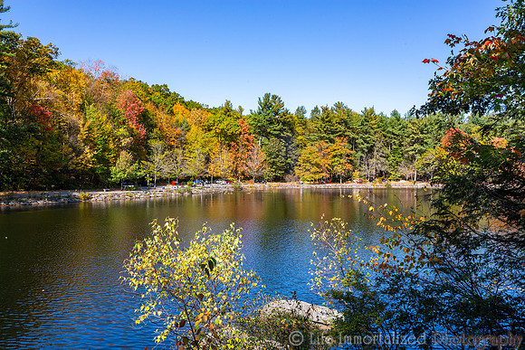 Coggshall Park