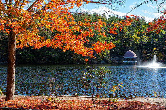Coggshall Park