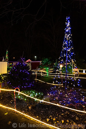 Zoolights at Stone Zoo