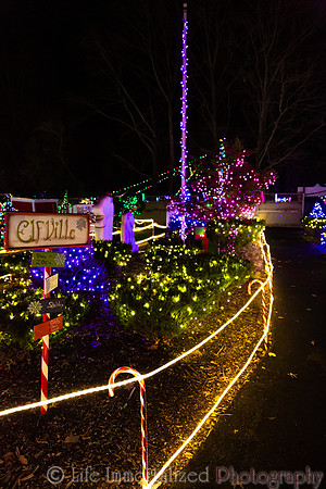 Zoolights at Stone Zoo