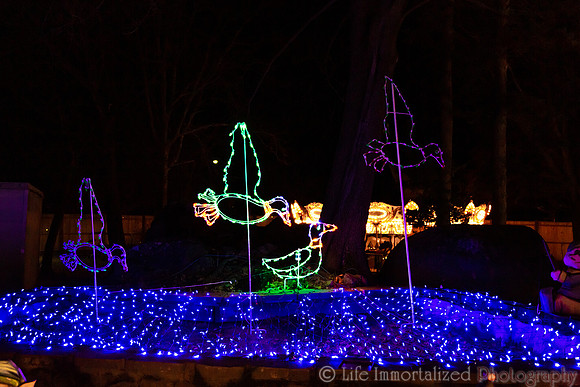 Zoolights at Stone Zoo