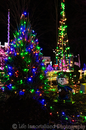 Zoolights at Stone Zoo