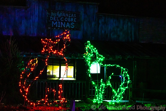 Zoolights at Stone Zoo