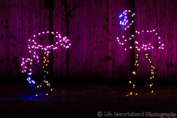Zoolights at Stone Zoo