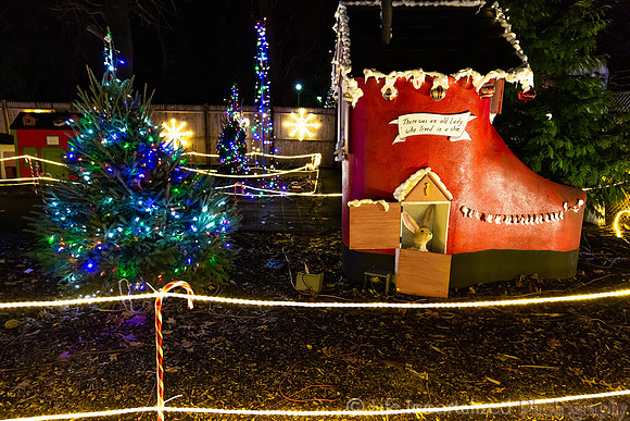Zoolights at Stone Zoo
