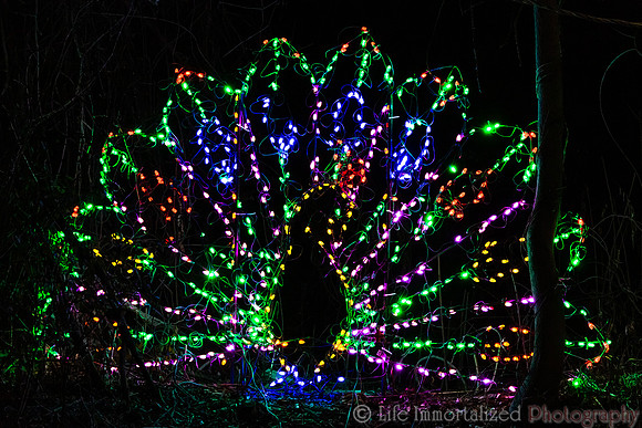 Zoolights at Stone Zoo