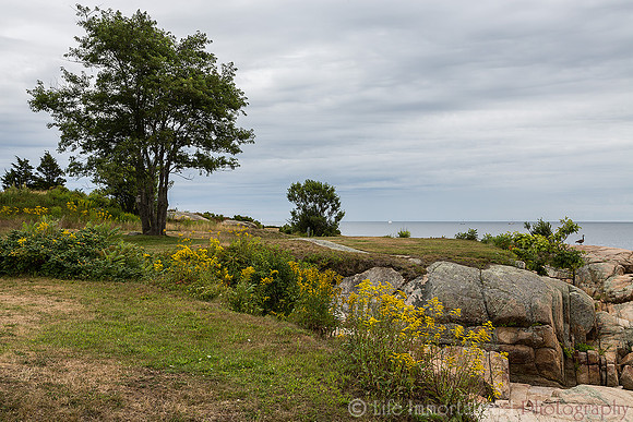 Ocean Lawn