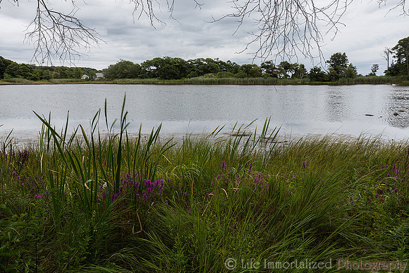 Coolidge Reservation