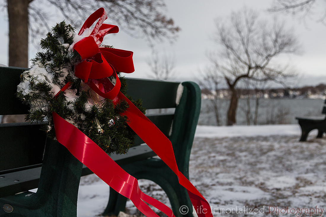 Snow Wreath