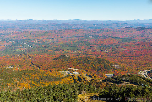 Cannon Mountain Foliage