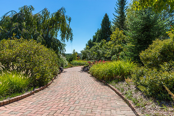 Secret Garden Path