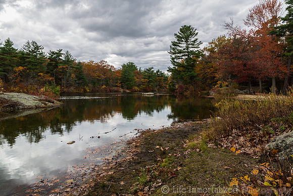 Fall Foliage at Breakheart Reservation